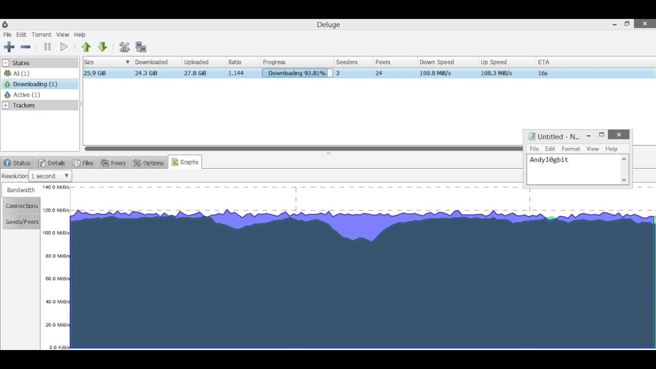 1Gbps Seedbox Performance