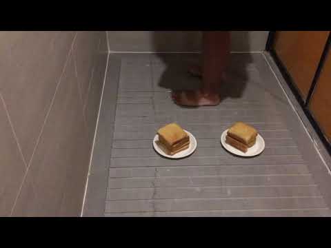 Barefoot crush bread