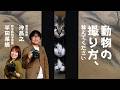 “猫写真家”沖昌之と“野生動物写真家”半田菜摘が最新カメラでの動物撮影を語り尽くす＜EOS R1／Z9作例多数＞【ProGrade Digital写真家対談】