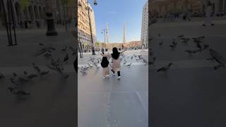 Hajj Days Beautiful Moments In Madina