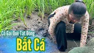 Thấy Bà Con Xả Nước Cô Gái Quê Bắt Cá Cạn