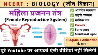 महिला प्रजनन तंत्र | Female reproductive system in hindi | Menstural cycle | Biology | Study vines