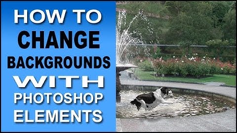 How To Change Backgrounds With Photoshop Elements