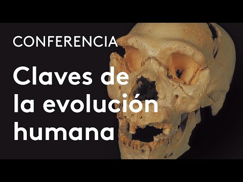 Vídeo: La Línea Probabilística De Desarrollo De La Especie Humana - Vista Alternativa