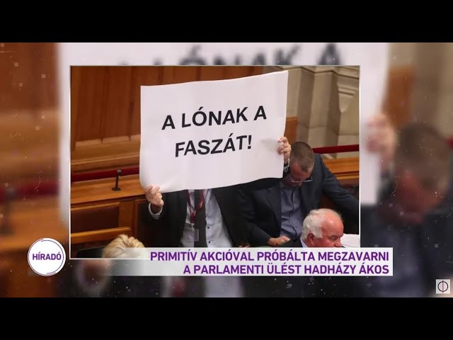 O1G Hadházy Ákos " A Lónak a faszát " - YouTube