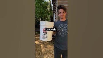 Infinite Worm Glitch #shorts