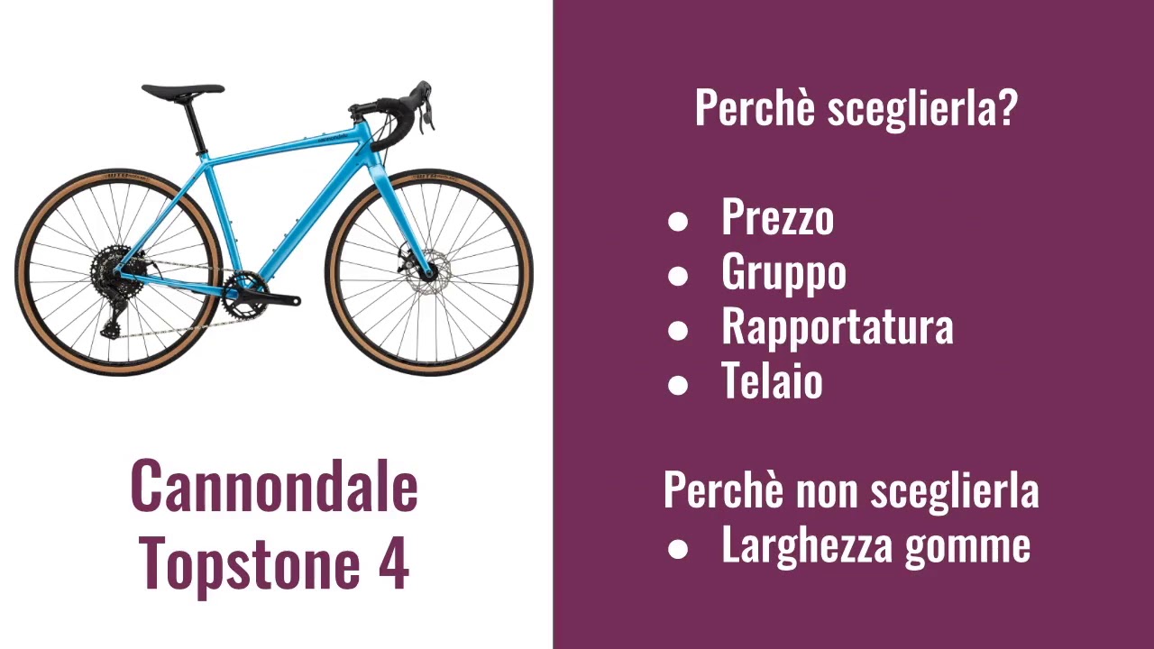 gravel bike entry level