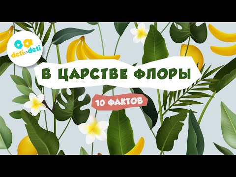 10 интересных фактов о растениях