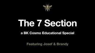 BK Cosmo - The 7 Section