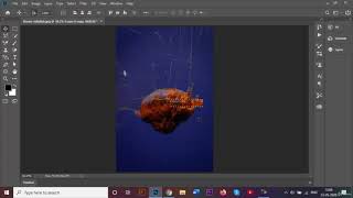 Famous 14 Rectangular and Elliptical Marquee Tool Wealth