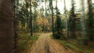 Long Delayed Echoes