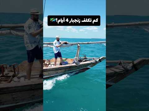 كم تكلف زنجبار