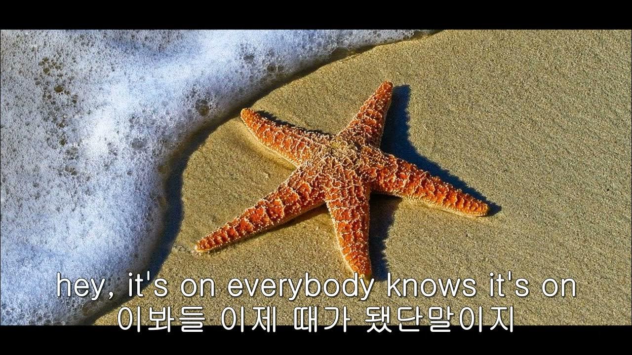 LIMP BIZKIT HOT DOG 한글자막 KOR SUB LYRICS YouTube