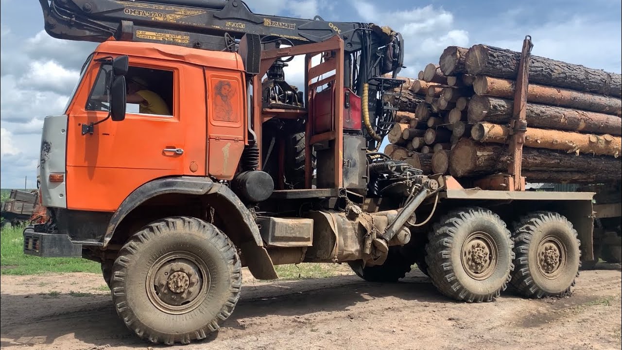 Замутил лесовоз кругляка в Саянске почти даром! Как?