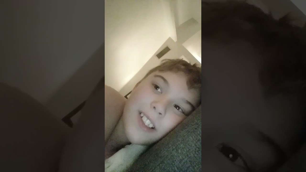 update on dog video new puppy she is cute but deadly like a baby tiger 🐯🐺🐕🐅