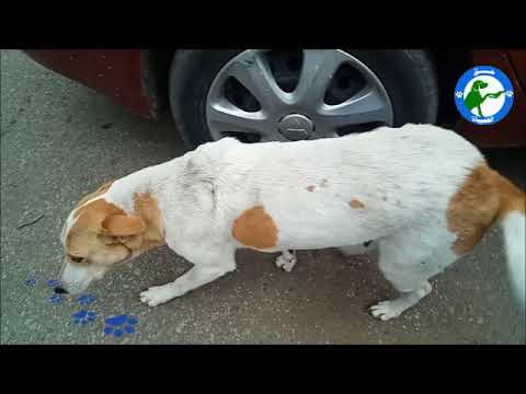 طيبة وقريبة وحبيبة ريم أبو عيد 