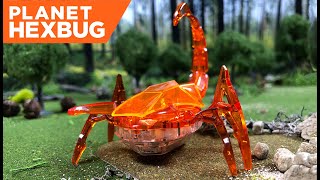 Planet HEXBUG - Episode 1: The Scorpion