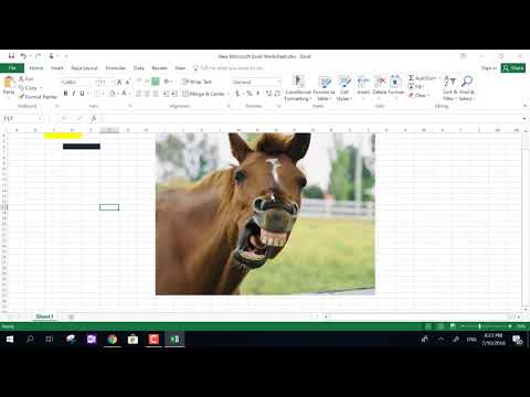 TUTORIAL EXCEL A MITO.