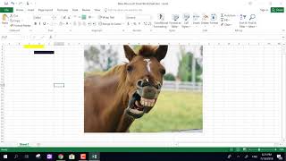 TUTORIAL EXCEL A MITO.