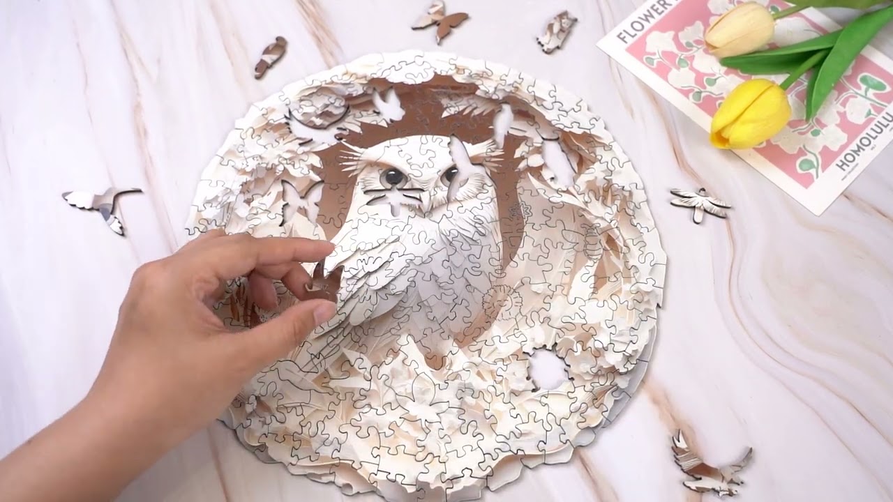 KAAYEE Wooden Jigsaw Puzzles Adult Unique Shape Advanced 3D Paper Carved Owl