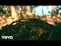 The Dear Hunter - Shlammin’ Salmon