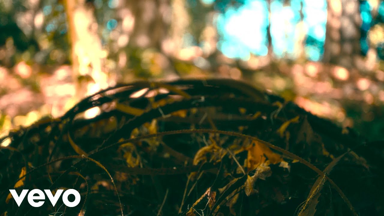 The Dear Hunter - Shlammin’ Salmon