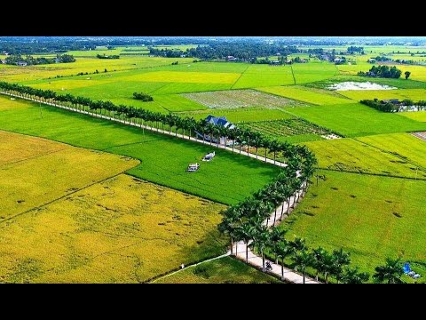 Video 7 Cách làm giàu ở nông thôn DỄ LÀM, VỐN ÍT, LỢI NHUẬN... - youtube