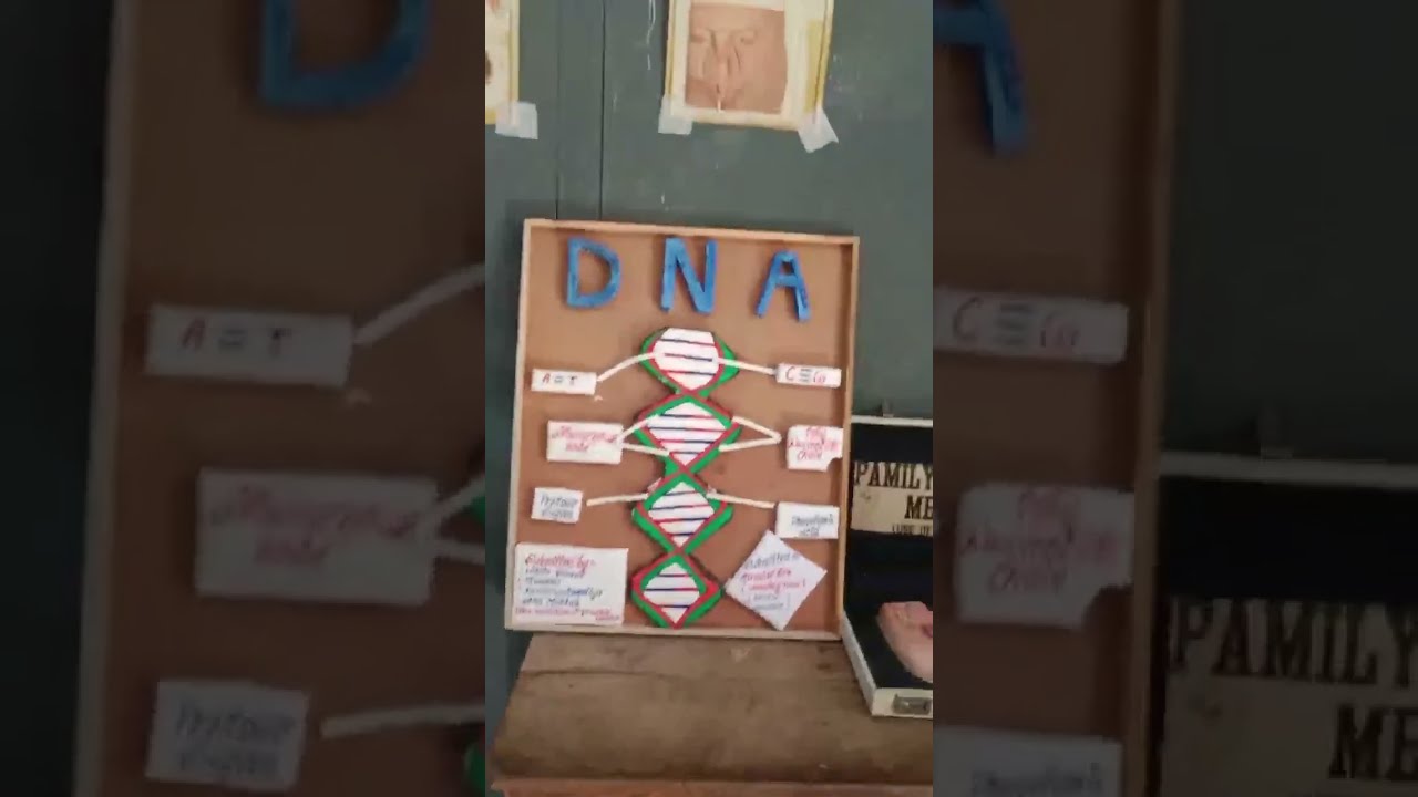 Government college of nursing Nagaur lab , Inc inspection in government  college nagaur