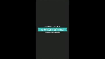 E-Wallet Activation -  Nexgo N3