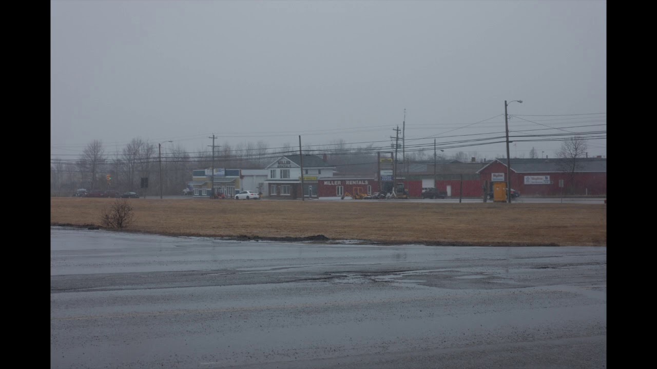 Steve Fifield - Crazy