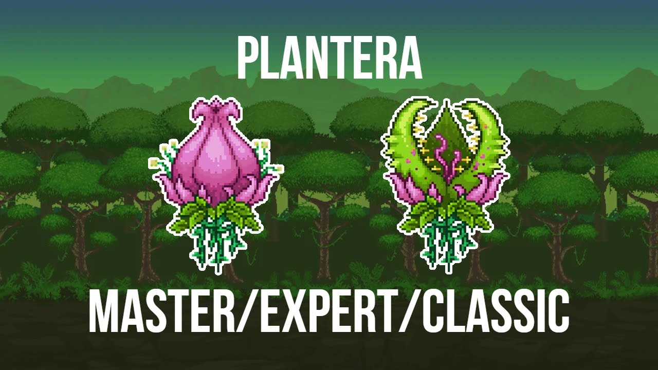 Como Derrotar Terraria Plantera?