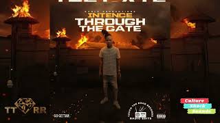 Intence - Through the Gate (TTRR Clean Version) PROMO