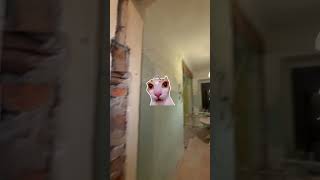 Дорогой, я придумала 😂 ремонт своими руками 🏡 #ремонтсвоимируками #ремонт взбредетжевбошку