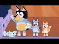 Fruit Bat Bedtime Bluey Season 1 Highlight Fruit Bat Bluey 