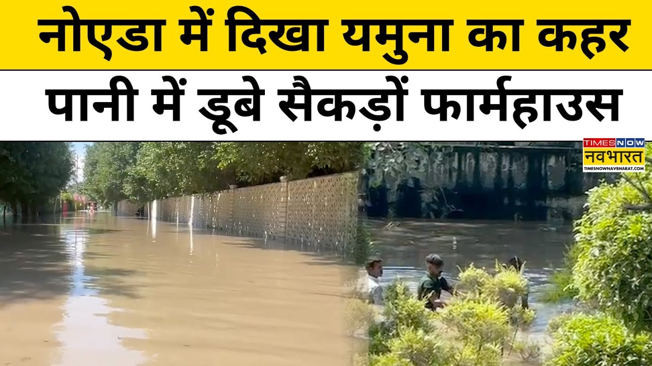 Delhi Noida Flood News : नोएडा में बाढ़ का कहर, डूब गए सैकड़ों फार्महाउस | Noida Flood | Top News