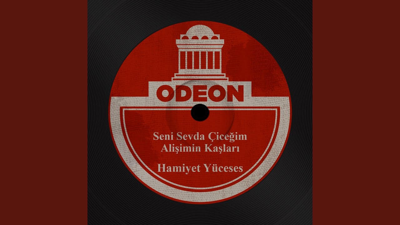 Seni Sevda Çiceğim
