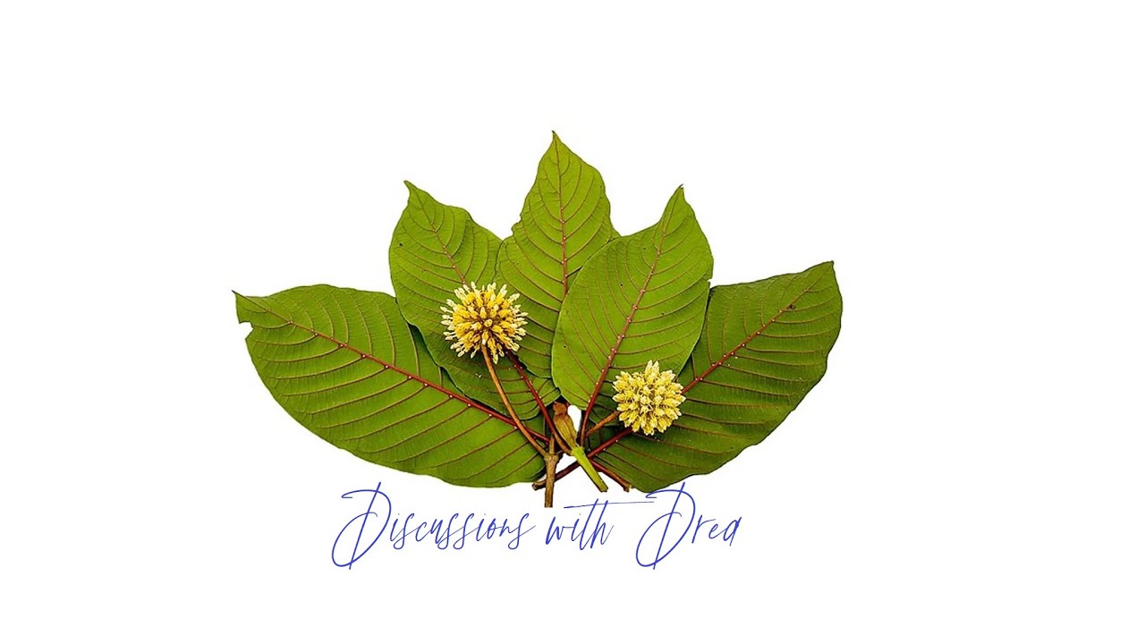 Taunton Bay Tea Company Red Thai, Green Envy & Gummies