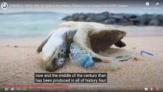 Why We Need to Stop Plastic Pollution in Our Oceans for good