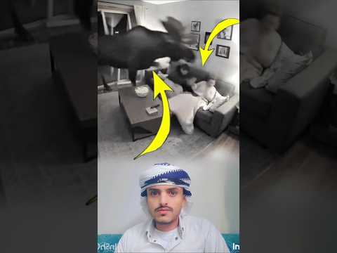 الجن يرتجف حين يقف المؤمن ثابت ا     