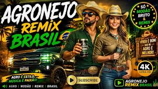 🔥 AGRONEJO REMIX MAIS TOCADAS 2026 | SERTANEJO REMIX • GRAVE QUE ARREPIA