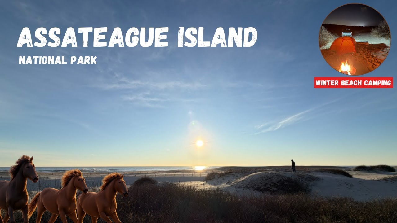 Winter Surfing + Camping in Assateague Island National Park!
