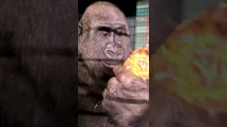 This Young Male Is Enjoying Some Pineapple! #Gorilla #Asmr #Mukbang #Eating