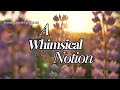 A Whimsical Notion