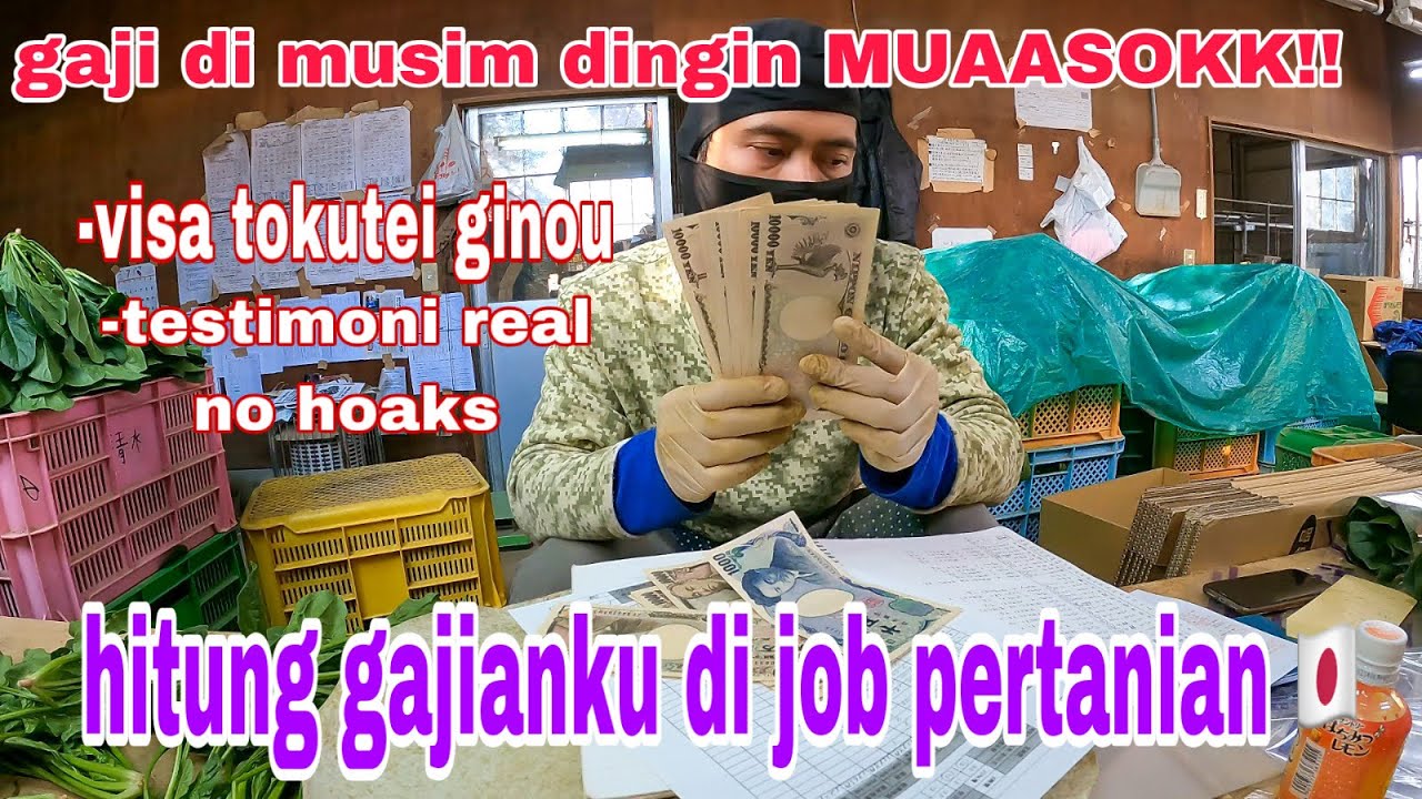 gaji pertanian jepang ketika musim dingin,Real NO Hoaks