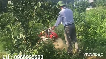 Máy quật cỏ TL442