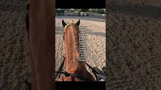 Each One Of Them Taught Me Very Important Lessons