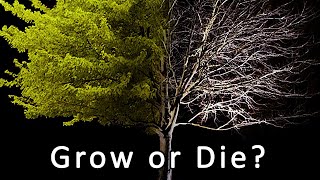 The Purpose of Life is...WHAT?  A Vedic Perspective.