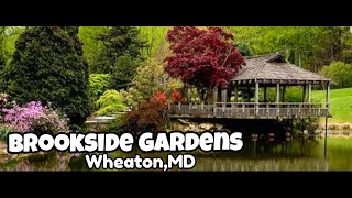 4K Brookside Gardens 60FPS in Wheaton, Maryland