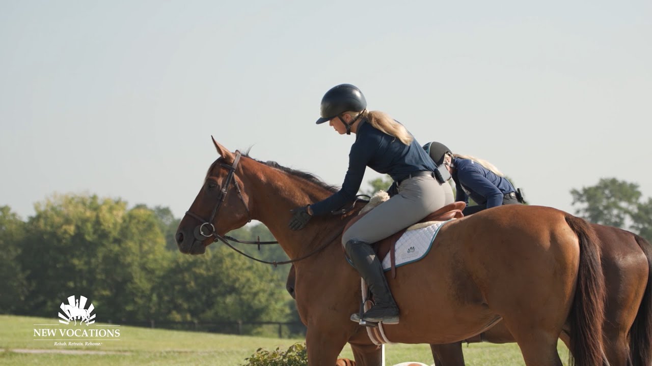 New Vocations Racehorse Adoption Program