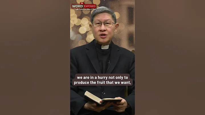 A FARMER'S PATIENCE | The Word Exposed with Cardinal Chito Tagle